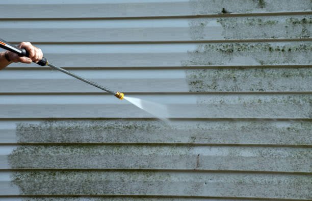 Best Professional Mold Removal  in Upland, IN