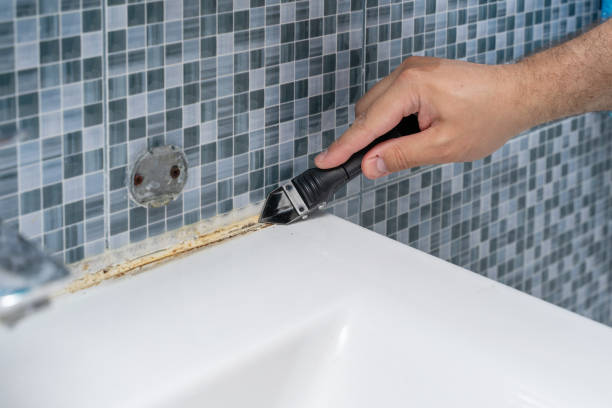 Office Mold Removal Services in Upland, IN