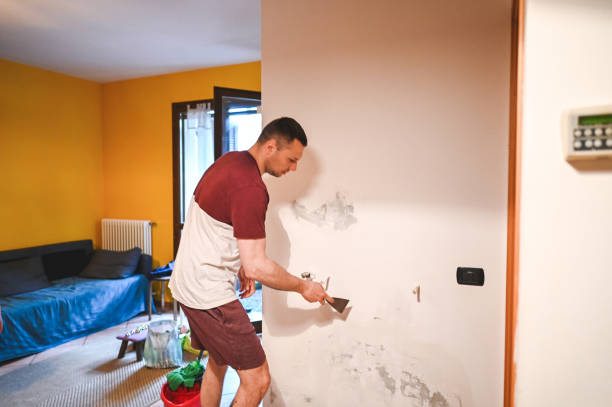 Best Attic Mold Removal  in Upland, IN